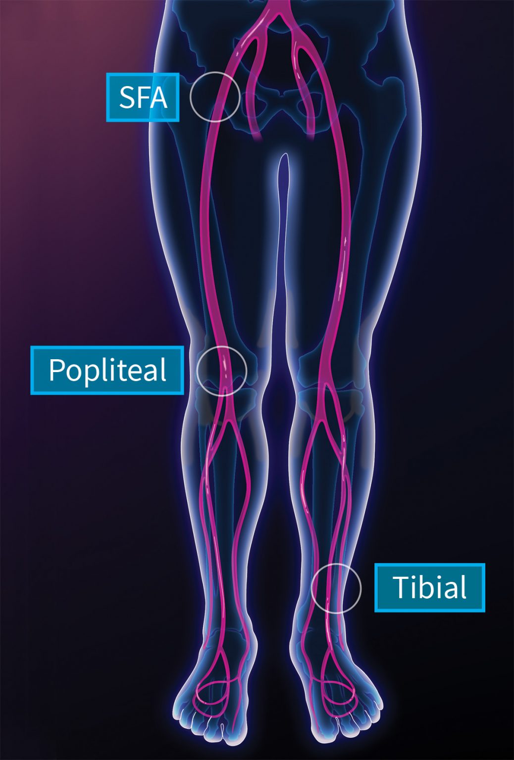 Home - Cardio Flow, Inc.